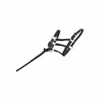 Licol poulain - TDET