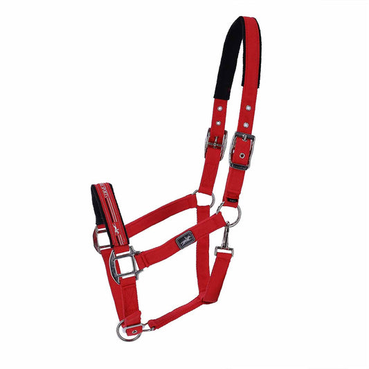 Headcollar Memphis Style II, true Red - Schockemöhle SS 2023