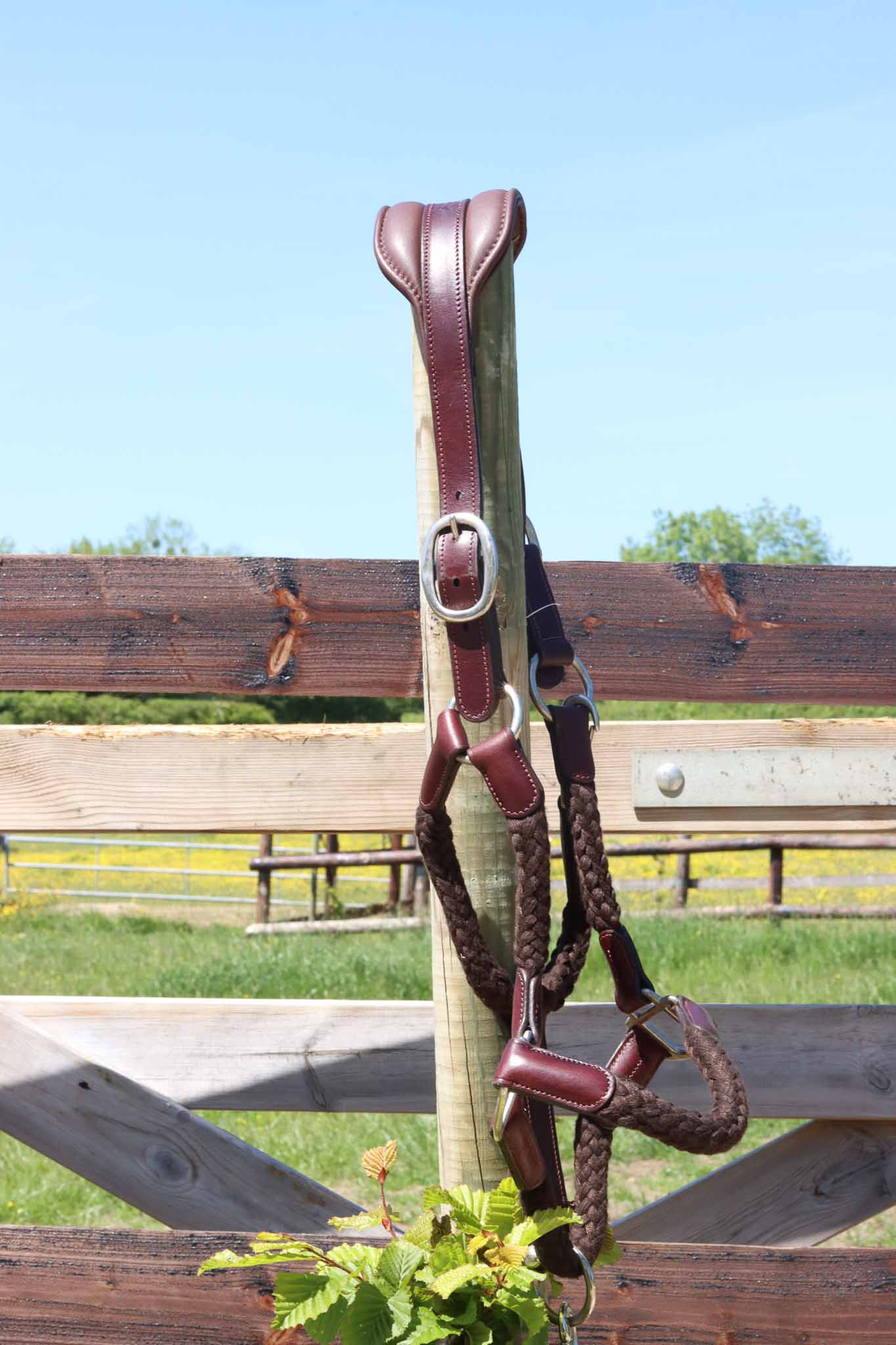 Headcollar Tara, Oak - Cavaletti