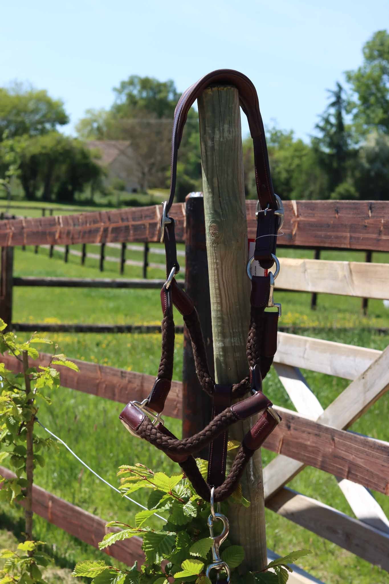 Headcollar Tara, Oak - Cavaletti