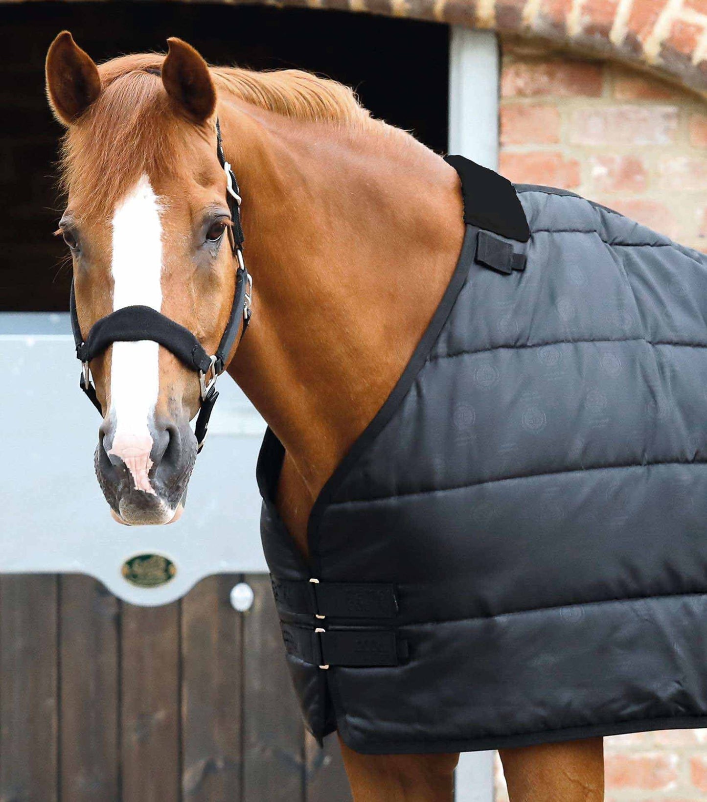 Liner sans cou, 200gr (en stock) - Premier Equine