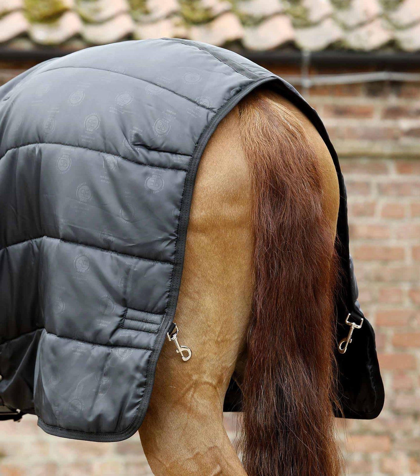 Liner sans cou, 200gr (en stock) - Premier Equine