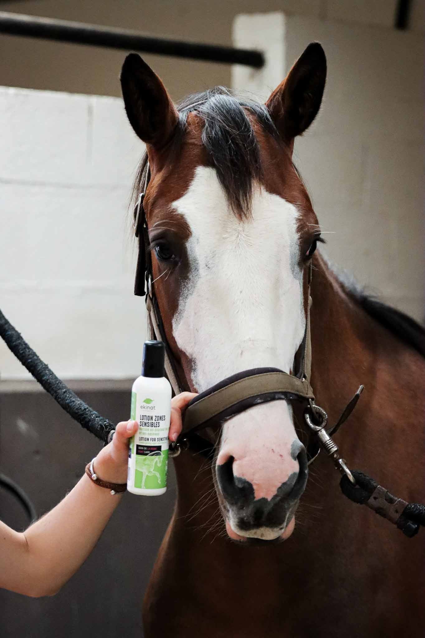 Lotion Sensitive Areas, 250ml - Ekinat