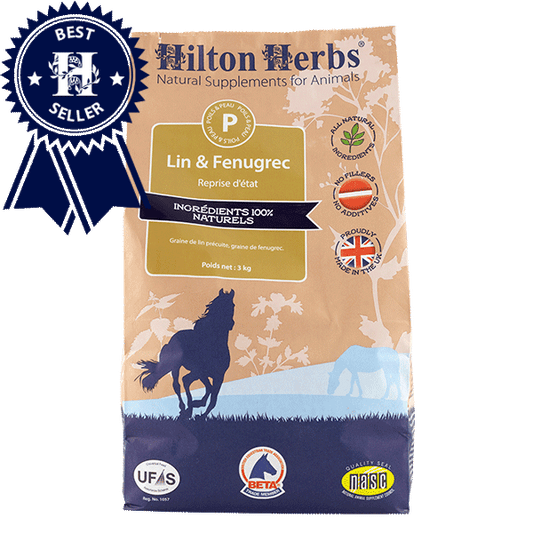 Flachs &amp; Bockshornklee, 3kg - Hilton Herbs