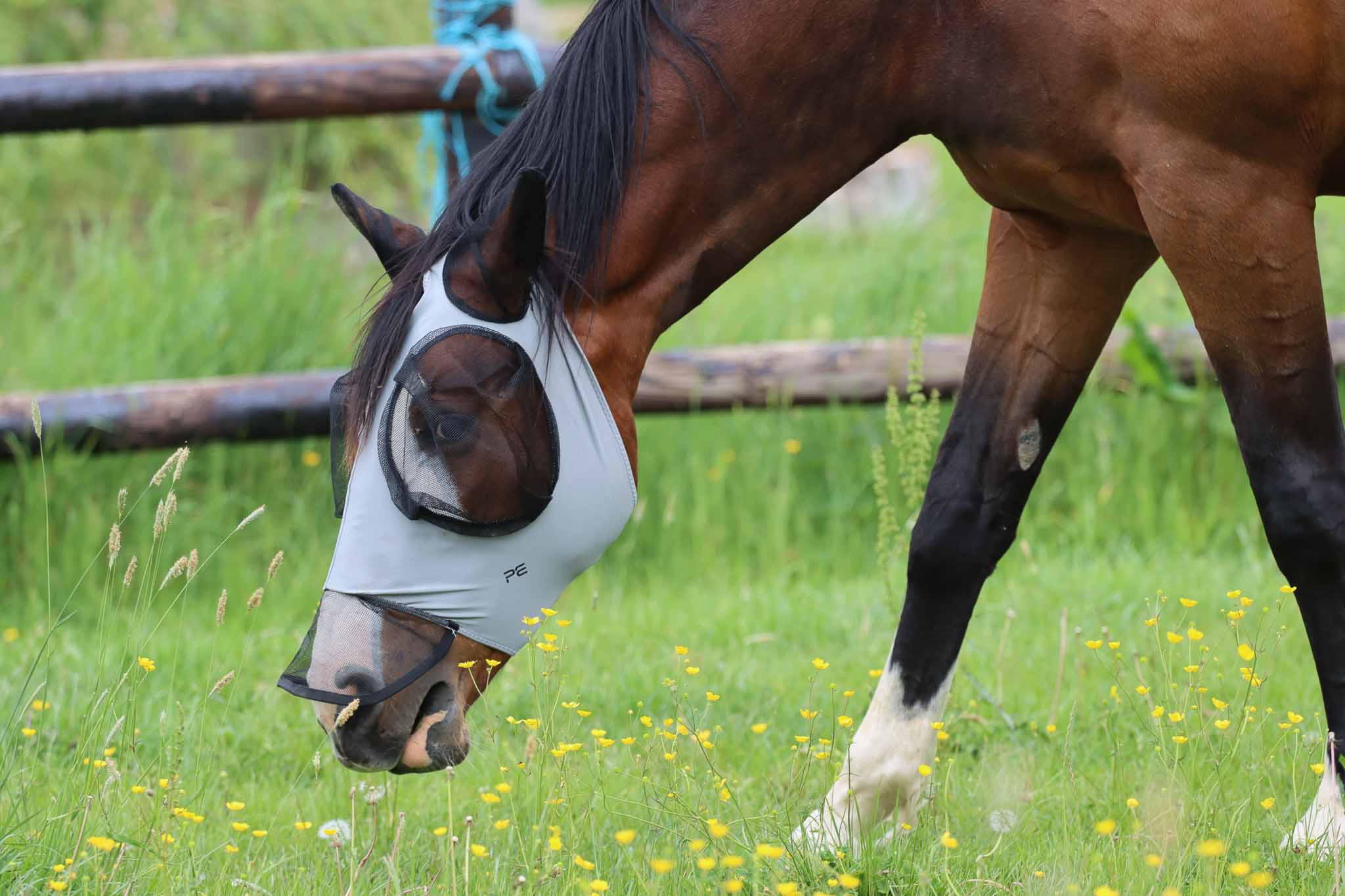Masque Confort Tech Lycra intégrale - Premier equine