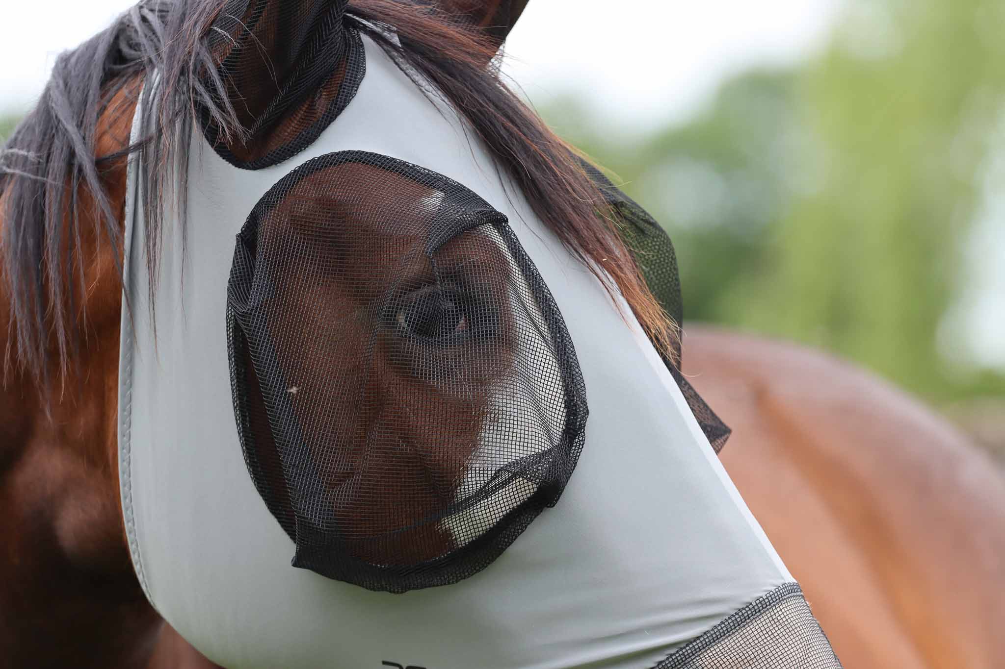 Masque Confort Tech Lycra intégrale - Premier equine