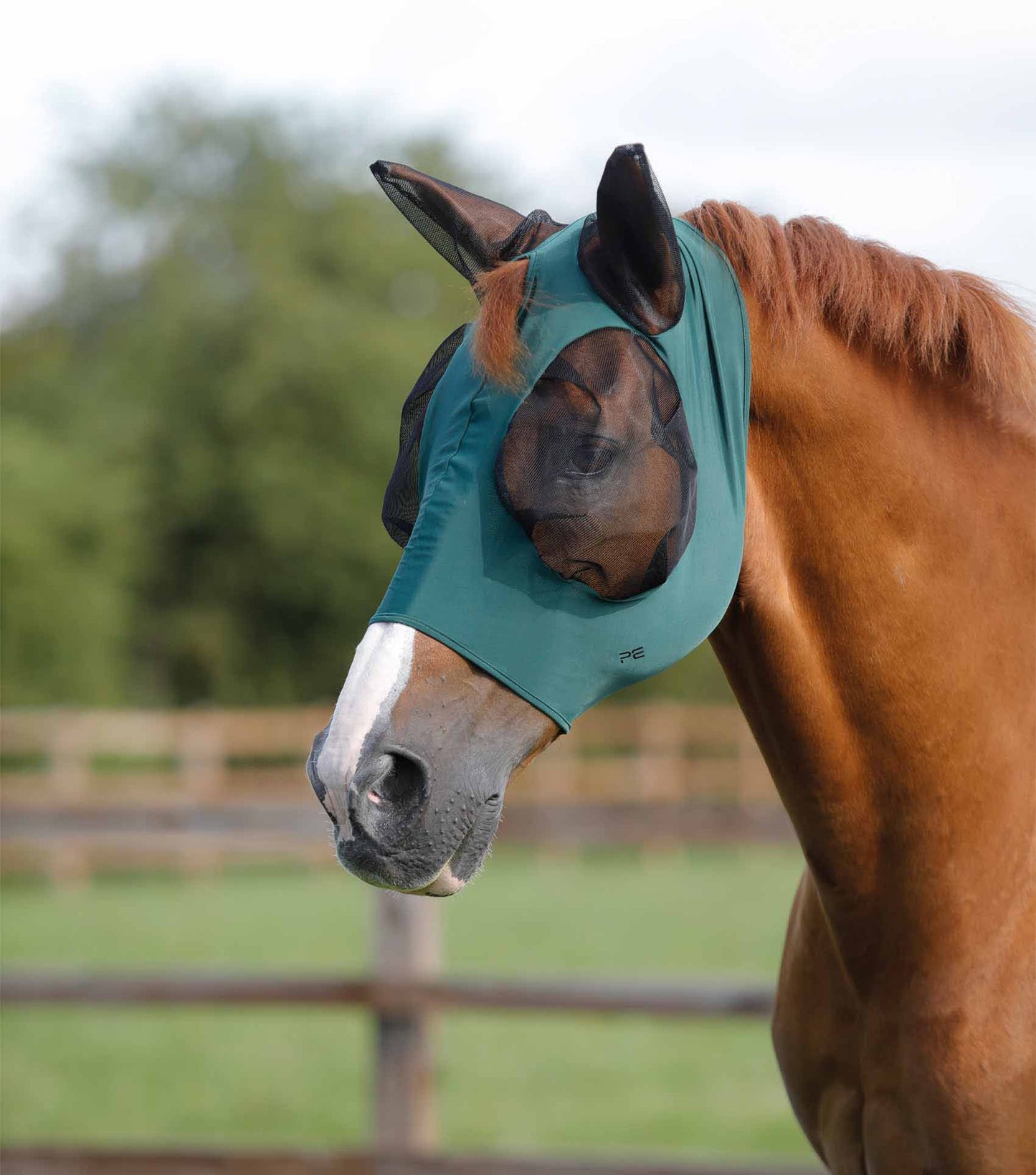 Tech Lycra Comfort Mask - Premier equine