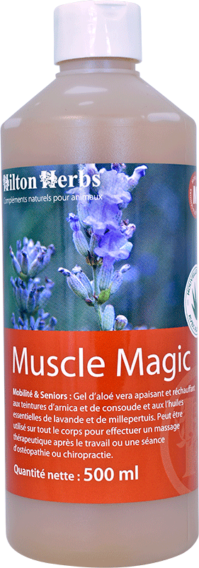 Muscle magic, 250 ml - Hilton Herbs