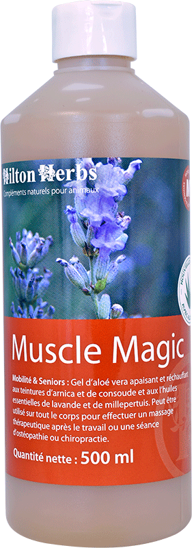 Muscle Magic, 250ml - Hilton Herbs