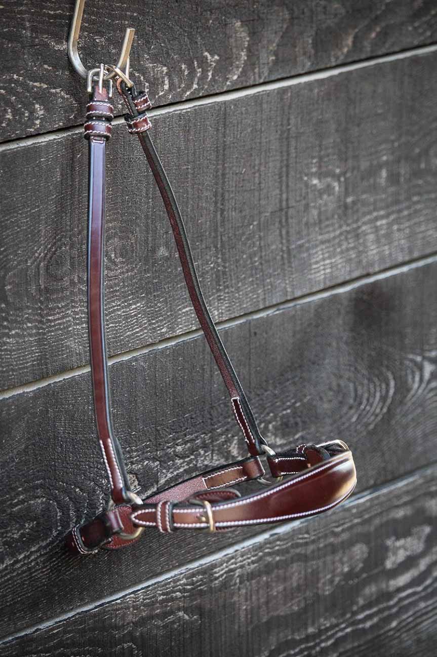 Deutsches Reithalfter - Jump'In