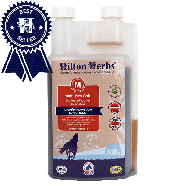 Multi-Flex Gold, 1 l - Hilton Herbs
