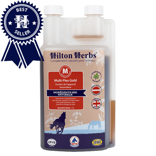 Multi-Flex Gold, 1 l - Hilton Herbs