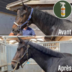 Natural'star - Natural’Innov