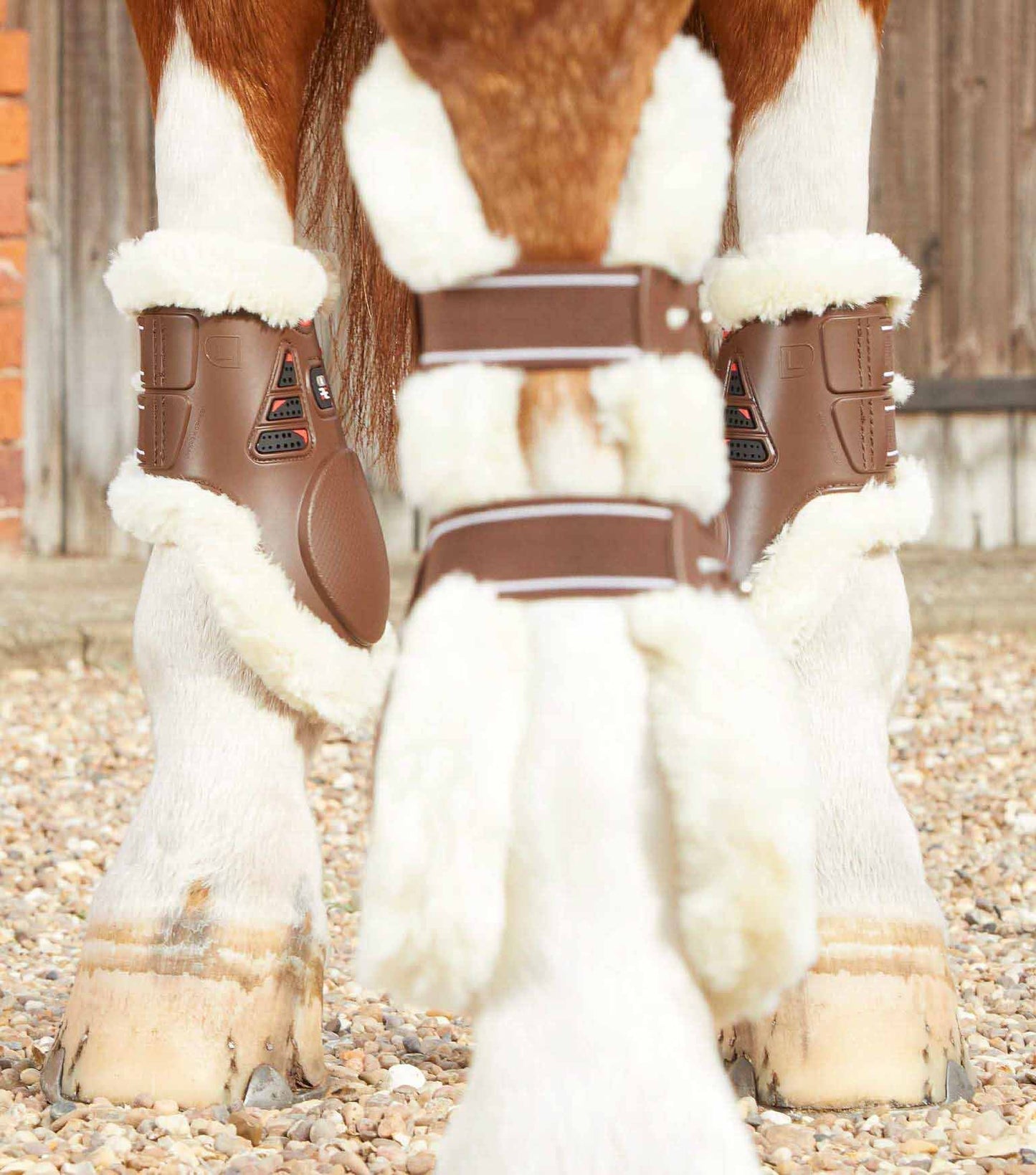 Guêtres Techno wool, marron - Premier equine