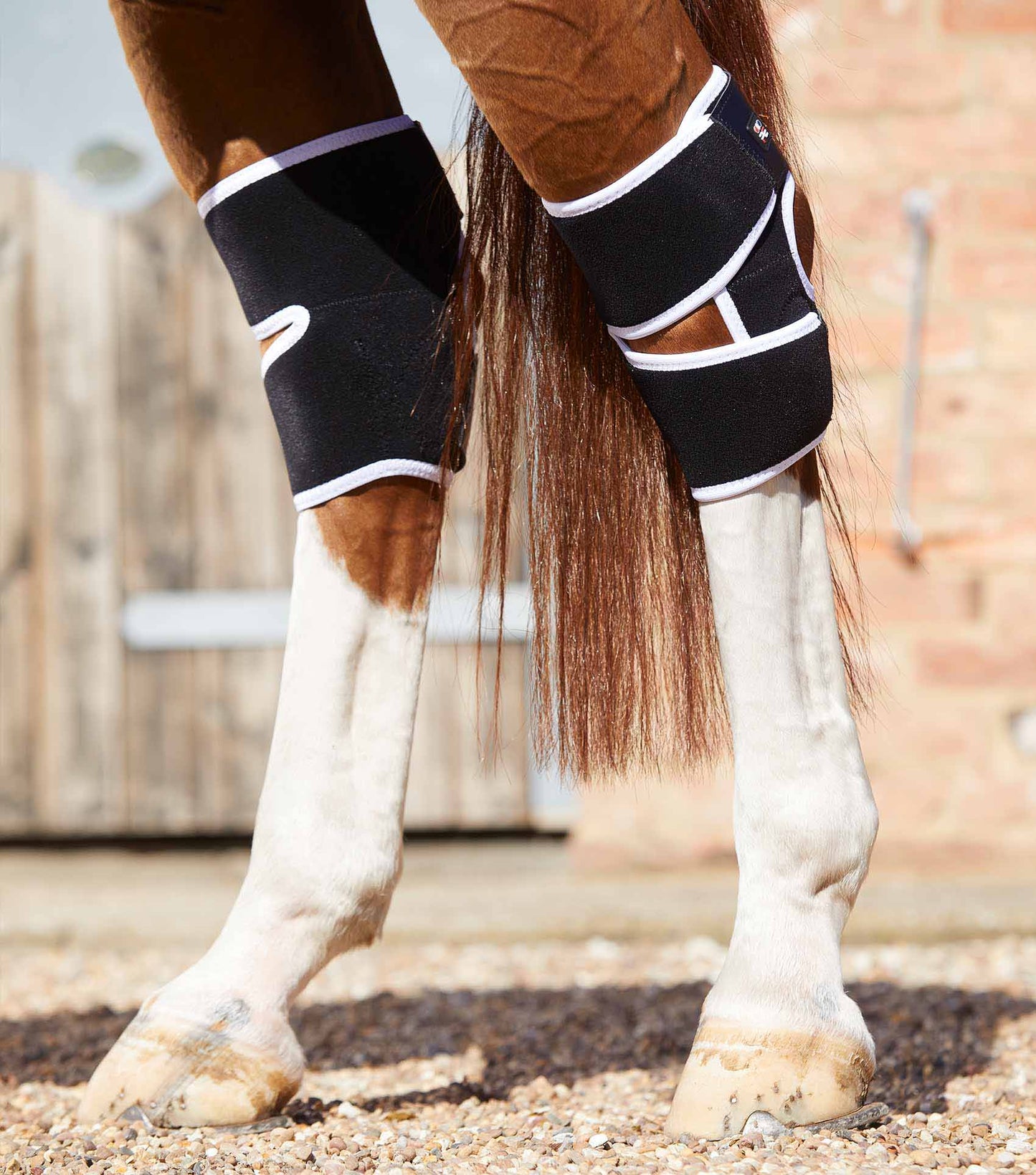 Protèges jarrets magnétiques - Premier Equine