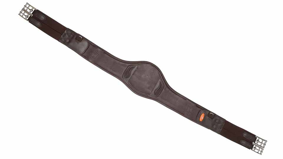 Portland Strap - Schockemöhle