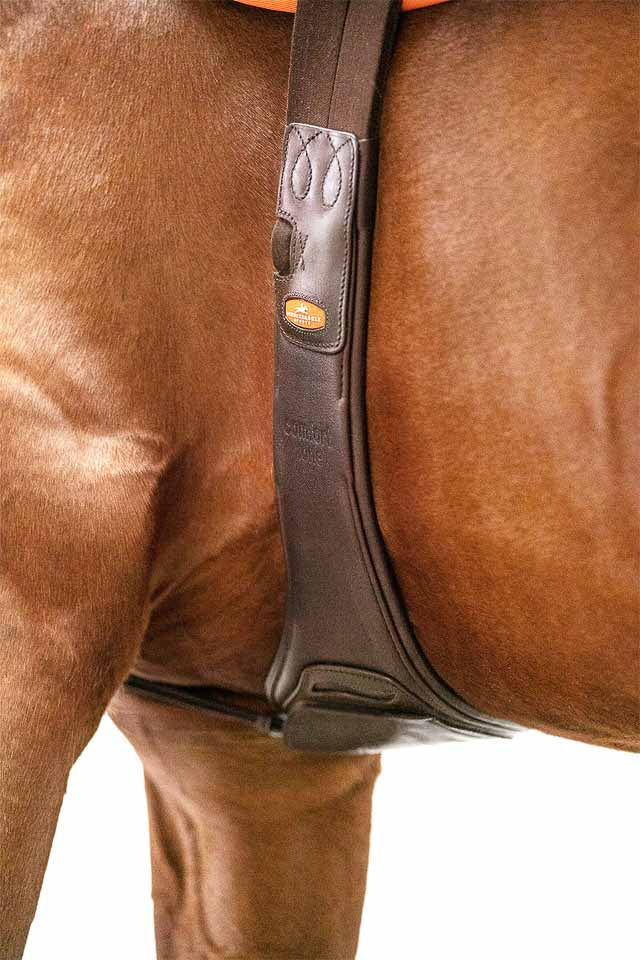 Portland Strap - Schockemöhle