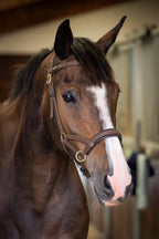 Side pull Biotack® - TDET