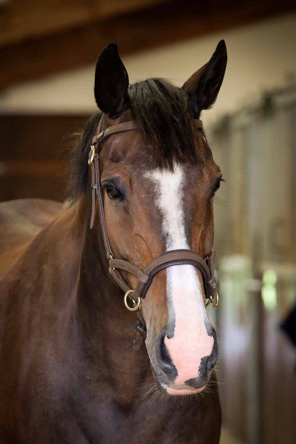 Side pull Biotack® - TDET