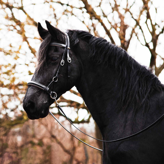 Luxury Pardoes Sidepull - GER Artikel zum Thema Freedom Riding