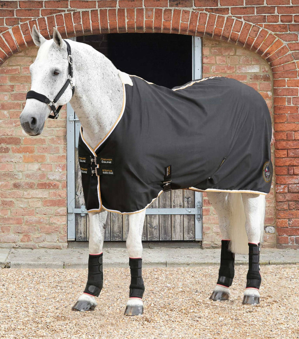 Couverture d'écurie pour cheval Premier Equine Tuscan 100 g PREMIER EQUINE Decat Couverture d'écurie pour cheval Premier Equine Tuscan 100 g PREMIER EQUINE Decat