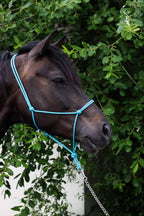 Licol Ethologique, Turquoise - Brockamp