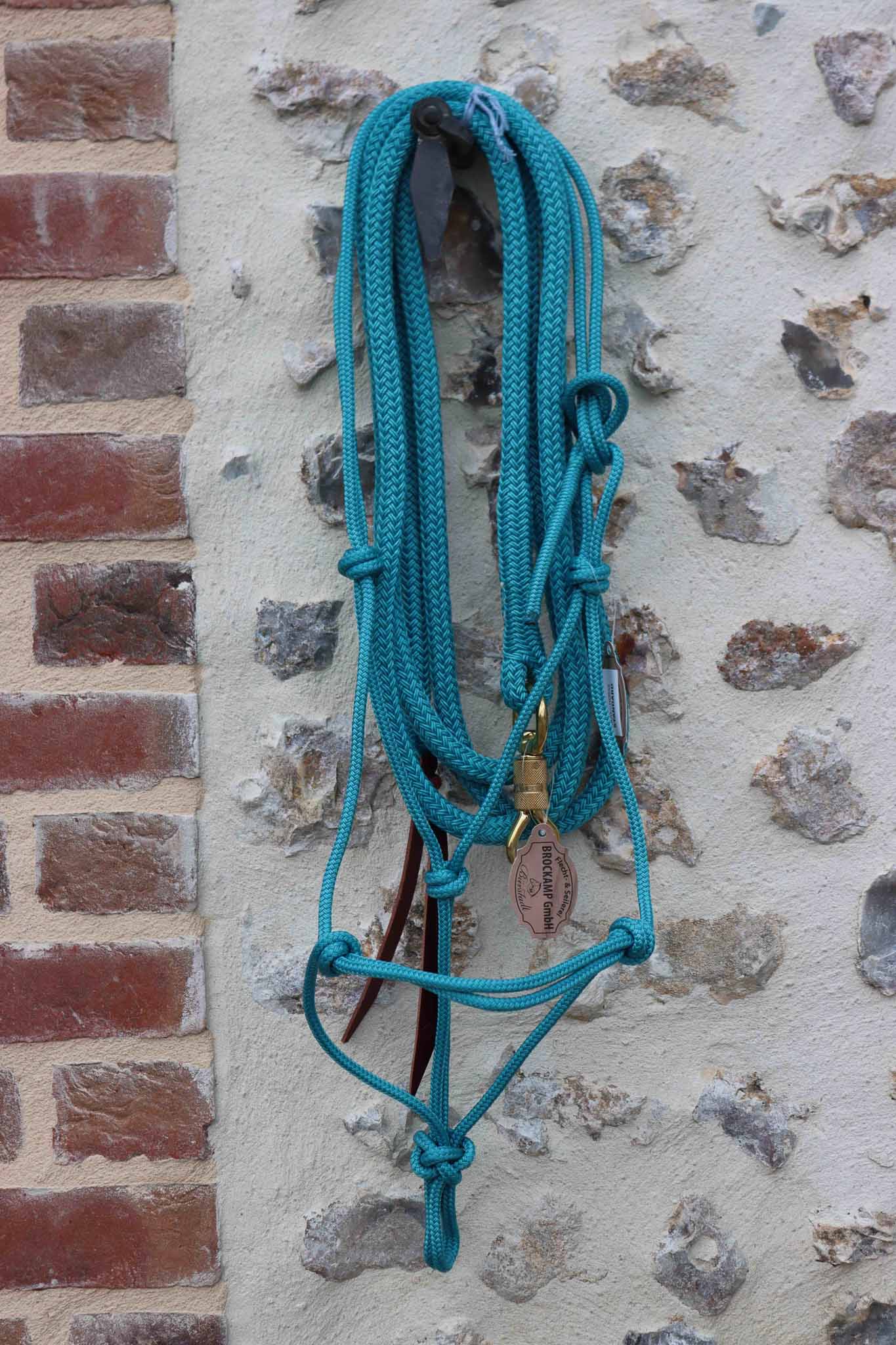Longe Ethologique 3.70m, Turquoise - Brockamp