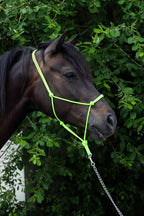 Licol Ethologique, Pistache - Brockamp