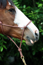 Licol Ethologique, Vieux Rose - Brockamp