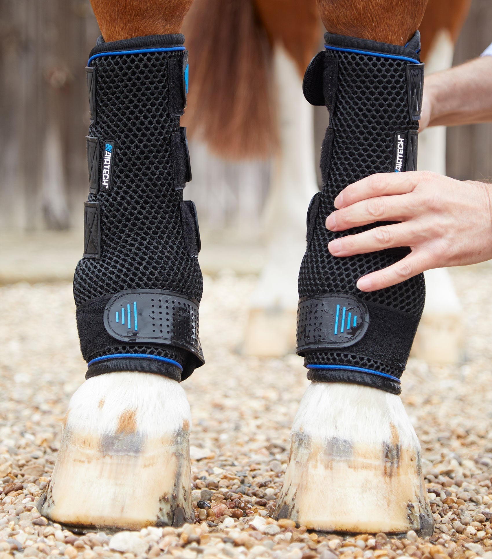 Guêtres Cold Water Compression - Premier Equine